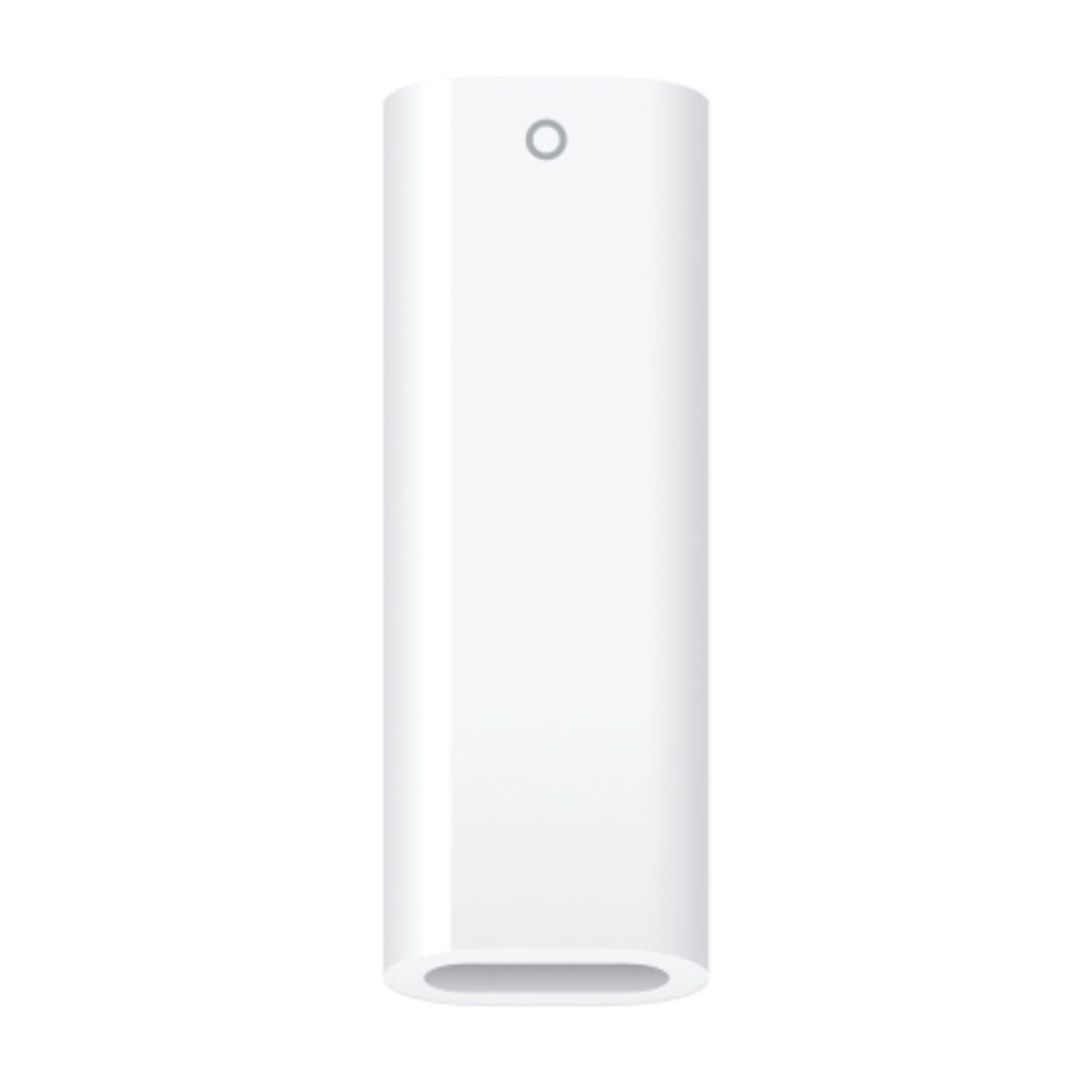 Apple USB-C to Apple Pencil Adapter | iPad Accessories